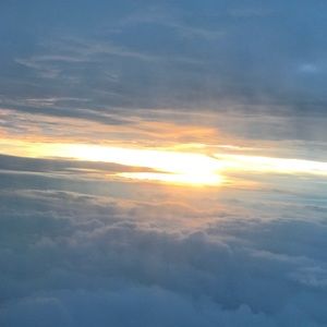 Meet your Posher, Lucy